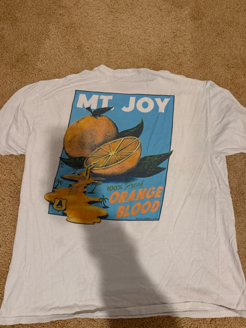 Mt. Joy official merchandise - Orange Blood Graphic Tee